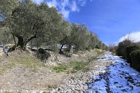 téléchargement (1)