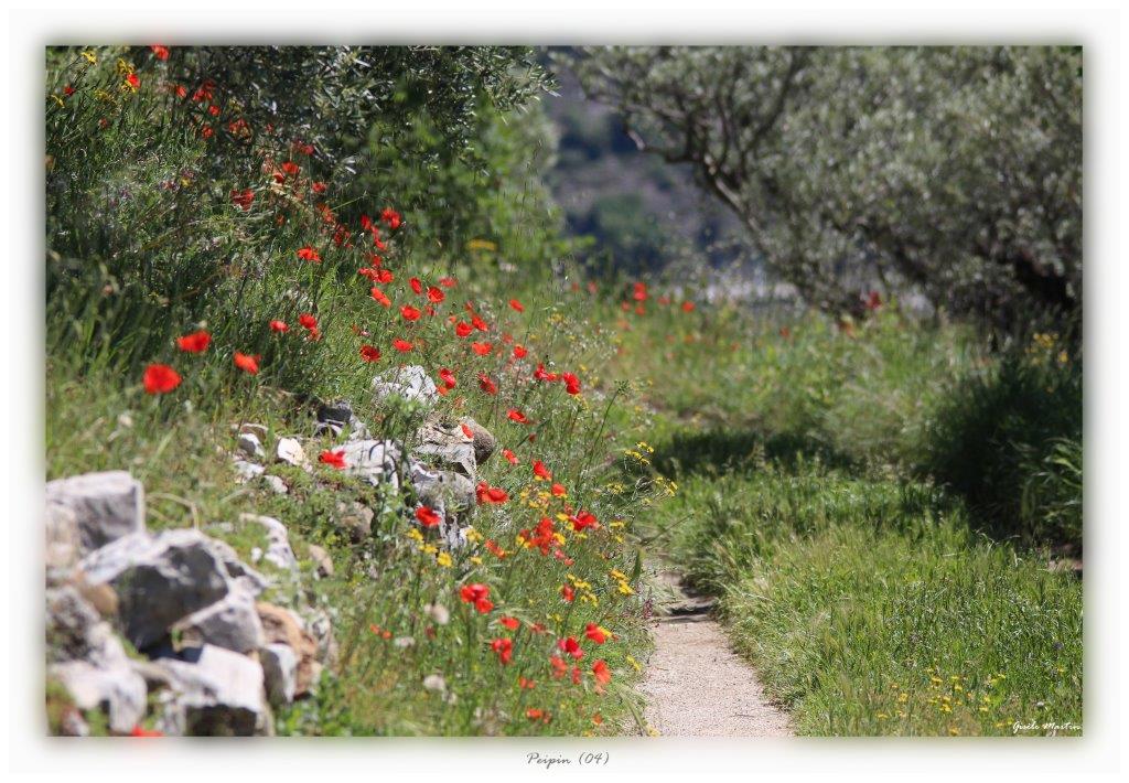 Photo Gisèle Martin